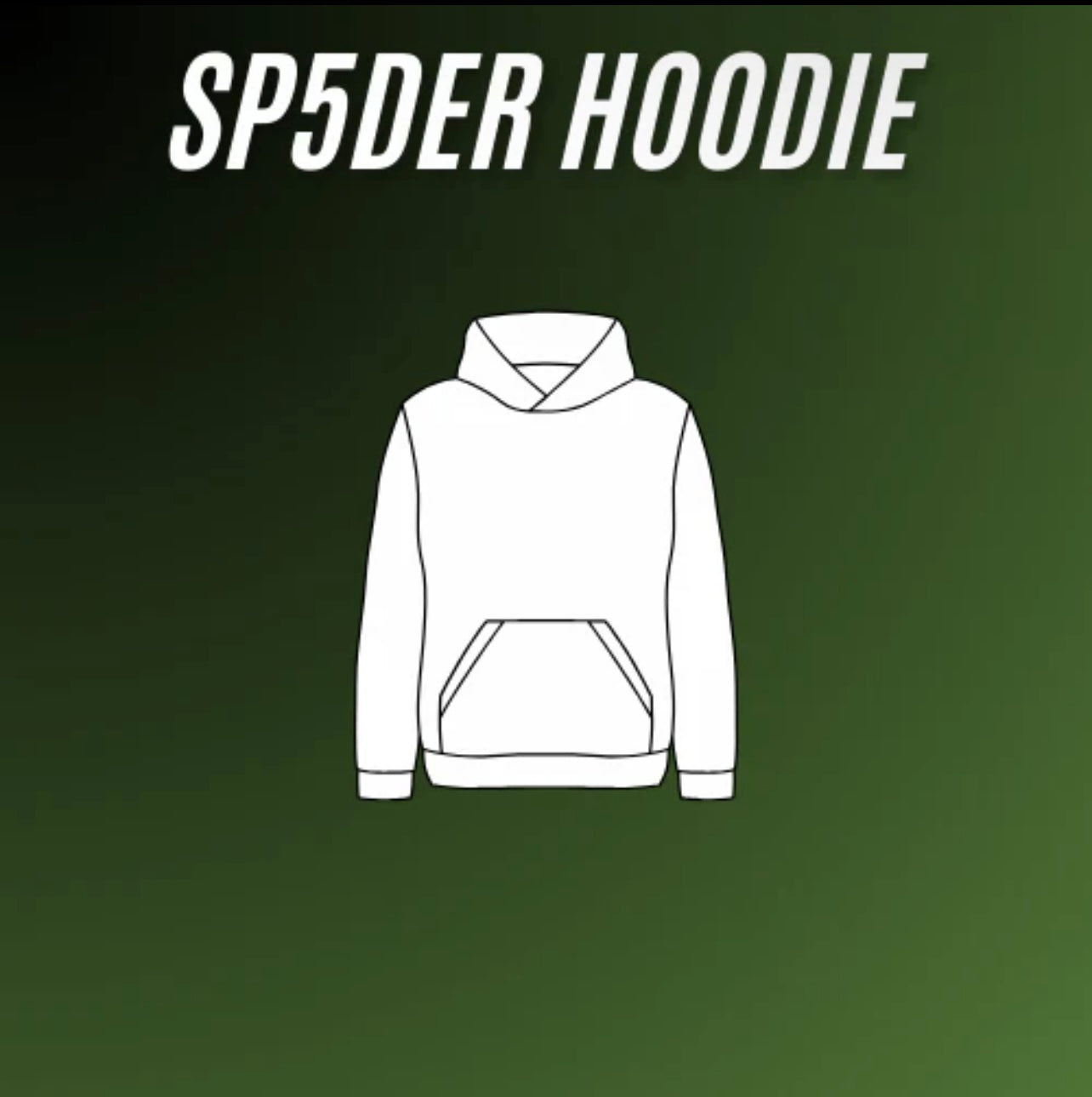 supplier for spider worldwide